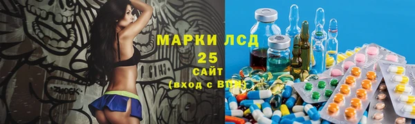 индика Баксан