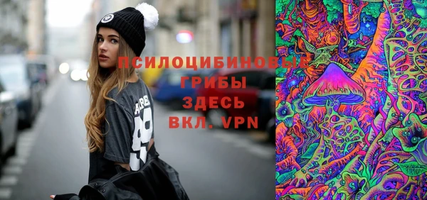 индика Баксан