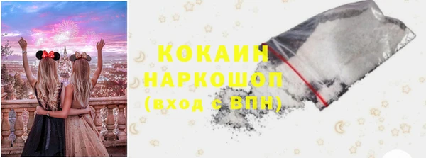индика Баксан