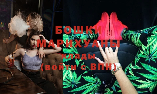 индика Баксан