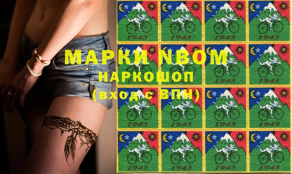 индика Баксан