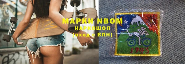 индика Баксан